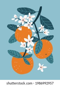 Stilvolle Orangenblüte, Vektorgrafik. Zitrus-Plakatdesign. Obst-T-Shirt-Druck auf blauem Hintergrund.