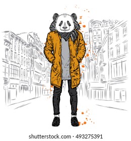 Stylish panda in a jacket and jeans. Vector illustration for greeting card, poster, or print on clothes. Fashion & Style.