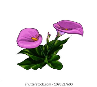 11,262 Lily flower cartoon Images, Stock Photos & Vectors | Shutterstock