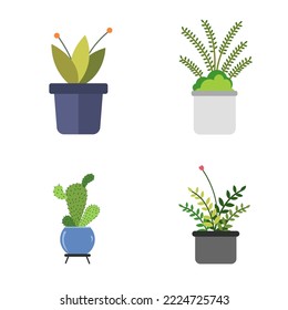 stylish plant in pot vector illustration set, office decoration