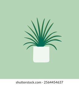 Stylish potted plant illustration against a mint background.