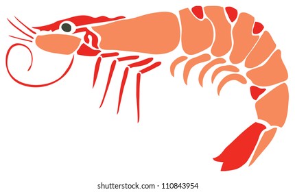 Stylish Prawn on White Background