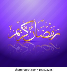 stylish ramadan kareem vector label illustration