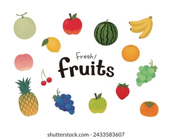 Stylish and realistic fruit illustration set