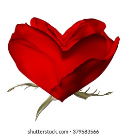 Stylish red rose isolated on white. EPS 10 vector file included