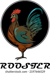 stylish rooster vector illustration. Poultry on a black background.Beautiful stately kochet for advertising, logo, design, etc.
