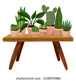 Stylish scandic living room interior - table with succulent potted plants on it. Home lagom decoration. Cozy season. Modern apartment furnished in hygge style. Isolated image