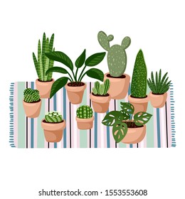 Stylish scandic living room interior - succulent potted plants on carpet. Home lagom decoration. Cozy season. Modern apartment furnished in hygge style. Vector isolated image