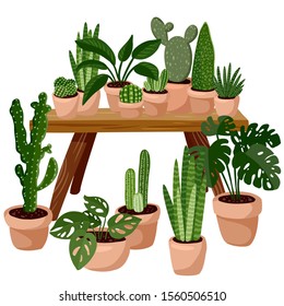 Stylish scandic living room interior - table with succulent potted plants on it. Home lagom decoration. Cozy season. Modern apartment furnished in hygge style. Isolated image