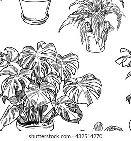 
Stylish seamless pattern with flowers . Houseplant in a pot . Vector freehand drawing .