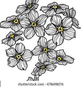 Stylish seamless pattern with forget-me-not . Vector freehand drawing . delicate flowers and leaves .