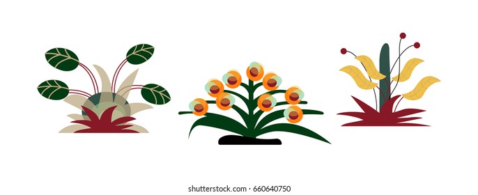 Stylish Set of Exotic Plants. Elements For Design. Vector Illustration.