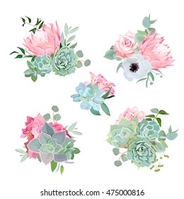 Stylish small bouquets of succulents, protea, rose, anemone, echeveria, hydrangea, green plants. Flower mix in modern style. All elements are isolated and editable.