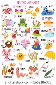 Stylish spring alphabet in vector. Lovely animals and items. Best abc-poster in a colorful style for children education and language study.