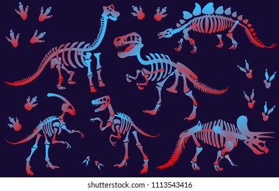 Stylish, steep, dinosaur skeletons,dinosaur bones. Triceratops, Tyrannosaurus, Brahiosaurus, Velociraptor, Stegosaurus, Parasaurolophus. Modern vector flat design image isolated on black background