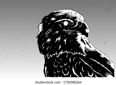 Stylish stencil eagle for poster, comic, icon, card. Wild life animals. High-contrast black and white eagle graphic.