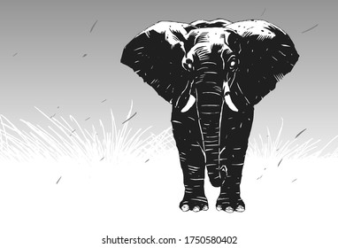 Stylish stencil elephant for poster, comic, icon, card. Wild life animals. High-contrast black and white elephant graphic.