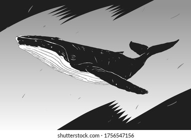 Stylish stencil whale for poster, comic, icon, card. Wild life animals. High-contrast black and white whale graphic.