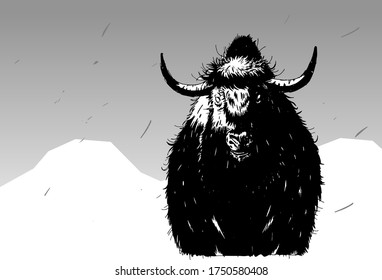 Stylish stencil yak for poster, comic, icon, card. Wild life animals. High-contrast black and white yak graphic.