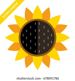 stylish sunflower vector icon