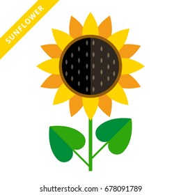 stylish sunflower vector icon