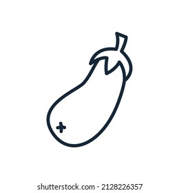 Stylish thin line eggplant icon isolated on white background - Vector illustration