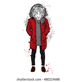 Stylish tiger in a jacket and jeans. Vector illustration for greeting card, poster, or print on clothes. Fashion & Style.