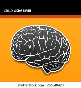 Stylish vector isolated brains