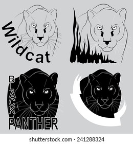  stylish vector logo black panther