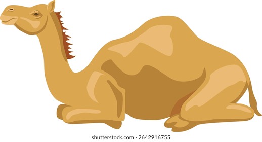 Stylish vector of a majestic desert camel walking in profile — perfect for Arabian travel posters, wildlife editorials, safari projects, and exotic cultural themes