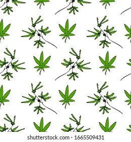 Stylish vector pattern. Flowering bushes of cannabis. Organic marijuana for medicine and relaxation. Isolated green herb on a white background.