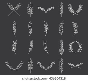 Stylish vector wheat illustrations for any use