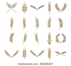 Stylish vector wheat illustrations for any use