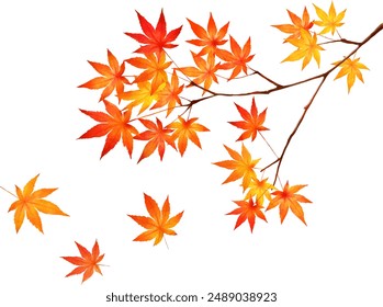 Stylish vector white background autumn background frame of beautiful red autumn leaves.