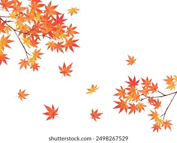 Stylish vector white background autumn background frame of beautiful red autumn leaves.