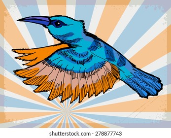 stylish, vintage, grunge background with hummingbird