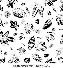 Stylish wallpaper with tree leaves. Leaf prints in black. Postcard with leaves prints.