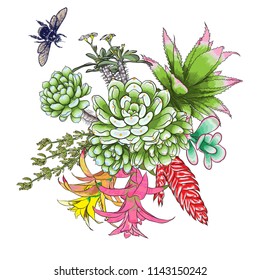 Stylish watercolor imitation with green and red flowers bouquet. Insects and bugs flying over the rose, succulent, eucalyptus, daisy, cactus. Floral bunch. Fresh mood composition. Isolated. Vector.