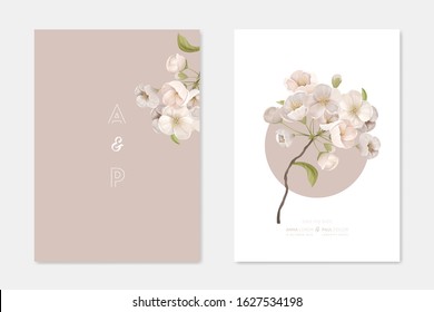 Stylish Wedding Invitation Cards Templates Set. Decorative Vintage Elements Composition with Cherry Flowers on White and Beige Background, Poster Banner Flyer Brochure Cartoon Flat Vector Illustration