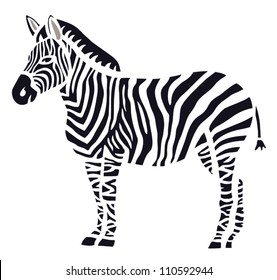 Stylish Zebra on White Background