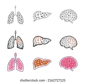 Stylization of human internal organs of the lung, liver and brain
