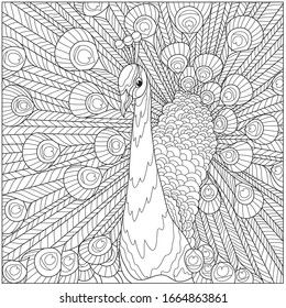 stylization of a peacock, against the background of a fluffy tail, for coloring for adults, t-shirts with a pattern, a poster, etc.