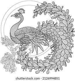 stylization as a peacock, against the background of a fluffy tail, for coloring for adults, t-shirts with a picture, a poster on a white background.