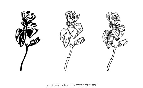 Stylization of the rose flower. Rose drawing, vector illustration for creating a design, print, postcard