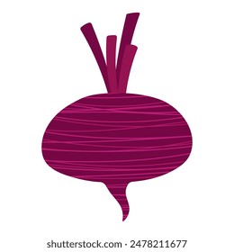 Stylized abstract beet. Vegetable with texture, stripes. Isolated vector illustration for your design.