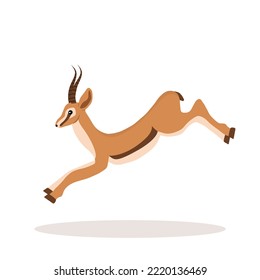 Stylized african antelope. Gazelle with horns on white background. Mammal animal. Vector illustration in flat cartoon style.