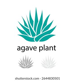 Stylized Agave Plant Logo Design Teal, Gray Variations, Nature