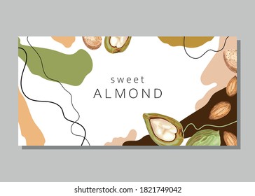 Stylized almond on an abstract background. Sweet almonds. Banner, poster, wrapping paper, sticker, print, paper, label. Vector illustration. 