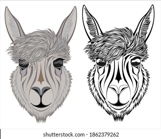 Stilvolles Alpaca-Gesicht für Tätowierungen, Logos und Embleme.