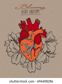  Dibujo anatómico estilizado del corazón humano. Corazón con lirios blancos de estilo romántico sobre fondo de textura de papel artesanal. Diseño de tatuajes, plantilla de tarjeta, concepto de corazón floreciente.